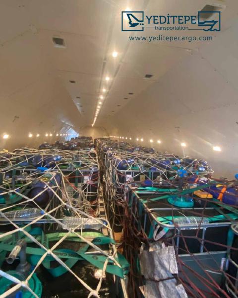 Canlı Balık Yüklemesi