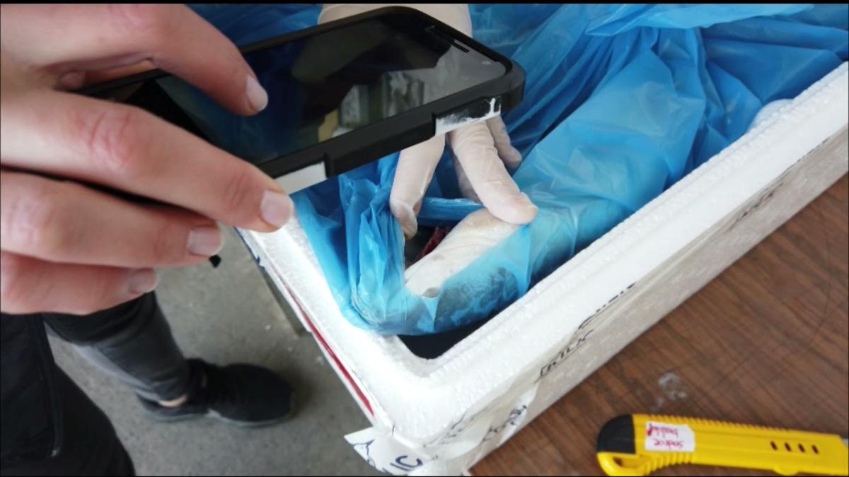 Yeditepe Taşımacılık Bozulabilir Kargo Sevkiyatı